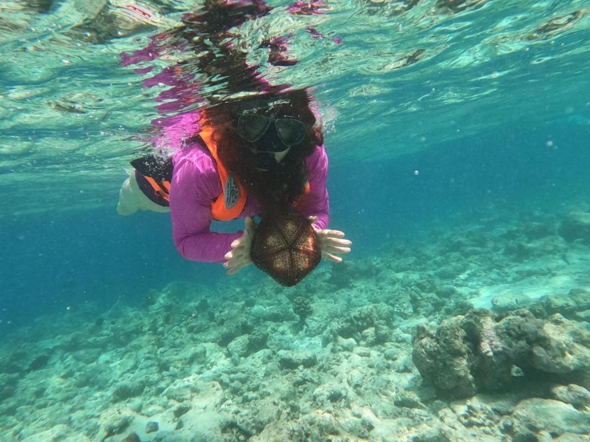 فندق La Isla Tropica